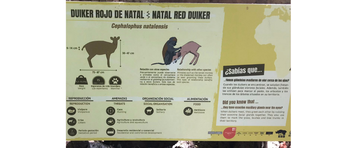 Bioparc no té cartells en valencià i diu que oferirà informació en la nostra llengua «mitjançant un enllaç»