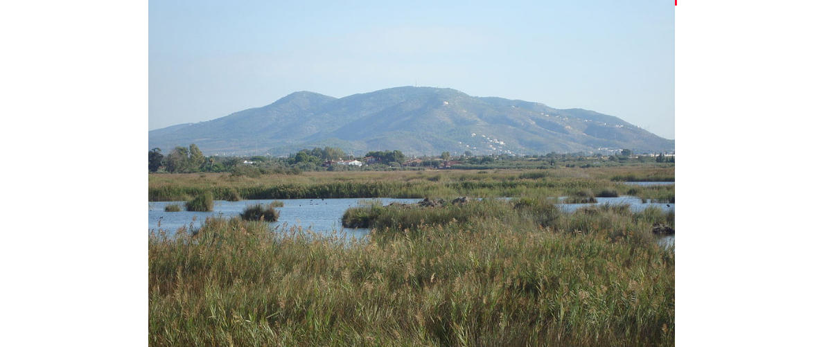 El Prat de Cabanes-Torreblanca El Prat de Cabanes-Torreblanca (la Plana Alta) és una estreta franja de terreny d’aiguamolls i pantans formada per dipòsits quaternaris, limitada pels rius Sant Miquel  i Xinxilla.  Va ser declarat paratge natural el 1988 i,