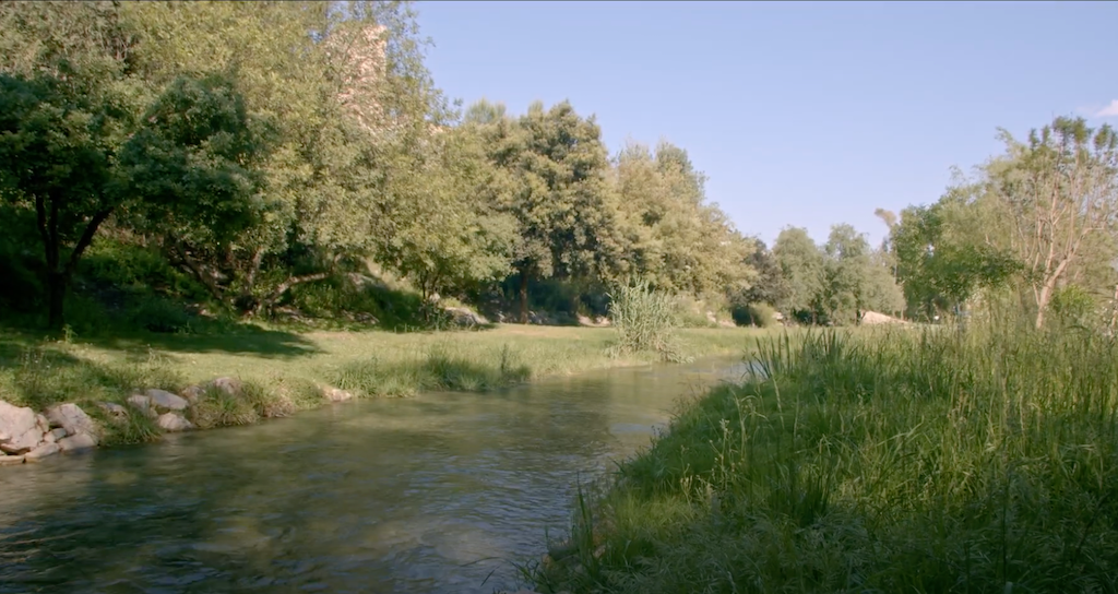 El riu dels Sants o Nou, a l’Alcúdia de Crespins