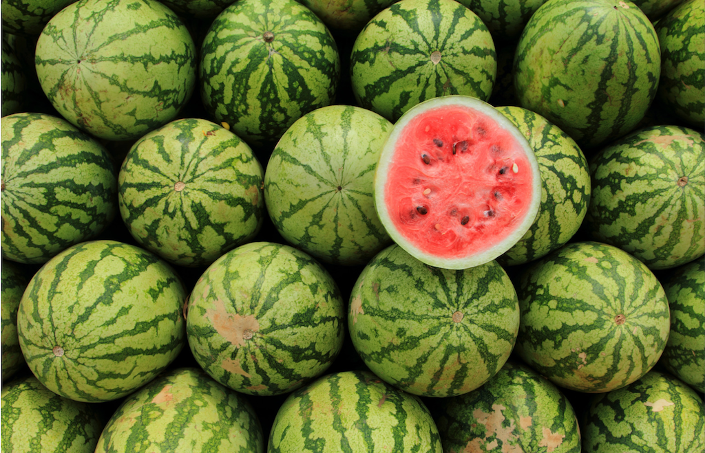 La Unió denuncia les «escandaloses» diferències de preu entre el camp i la distribució