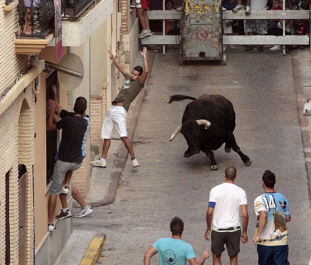 Bous al carrer a Puçol | Ajuntament de Puçol