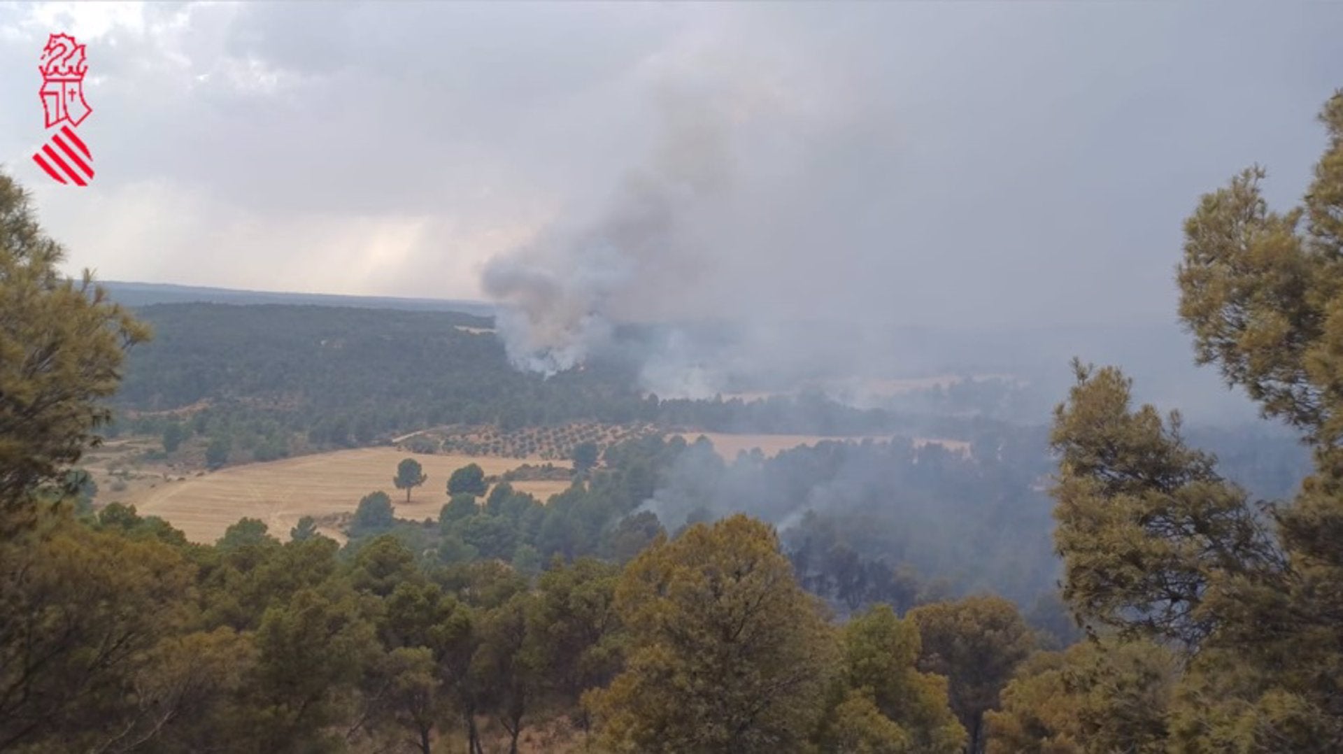 Un incendi a Venta del Moro obliga a desallotjar la finca del Tochar