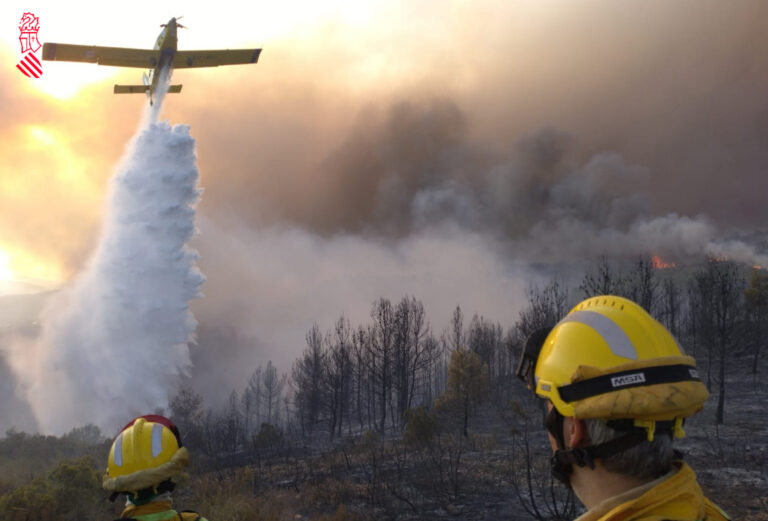 Emergències dona per estabilitzat l’incendi forestal de Calles