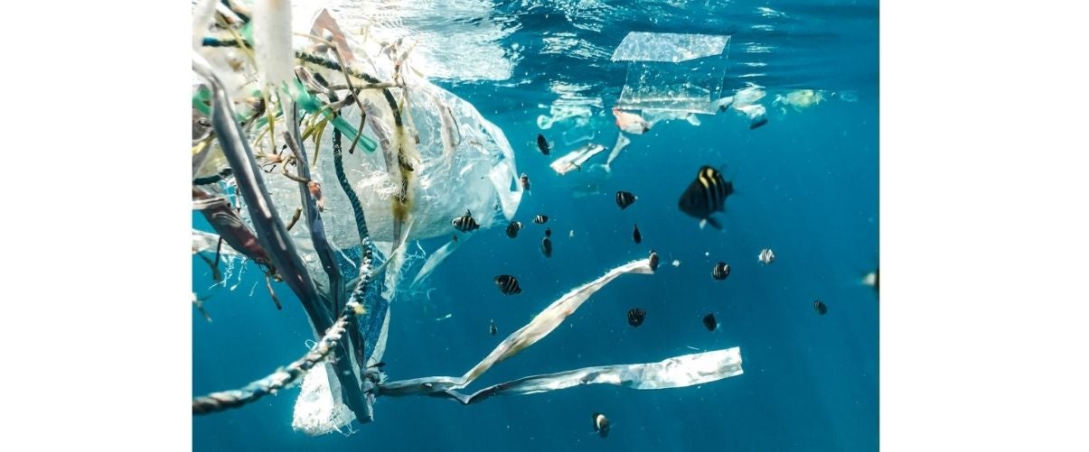 L’enginyeria per salvar els mars i oceans