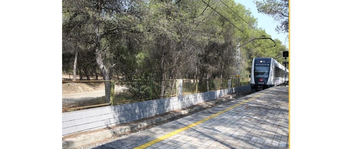 Ecologistes demanen a FGV que instal·le passos d’animals per a evitar atropellaments de fauna en les vies del metre