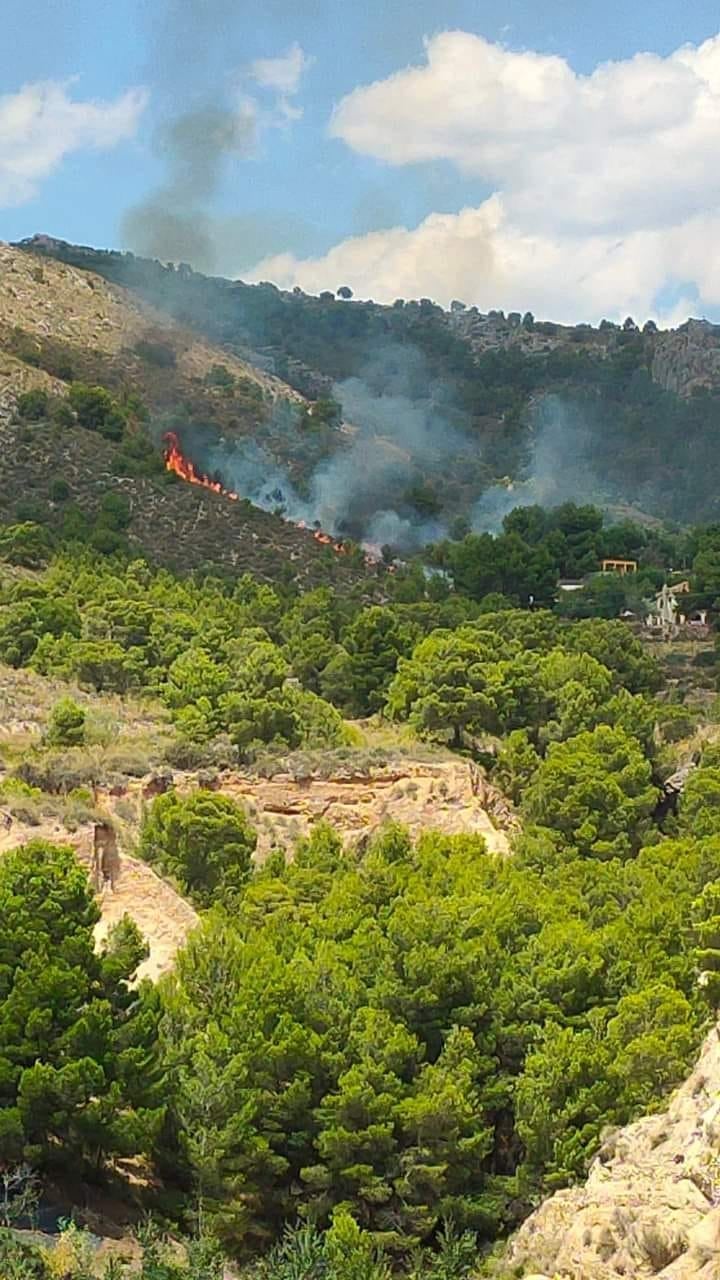 Incendi a Petrer (Vinalopó Mitjà)