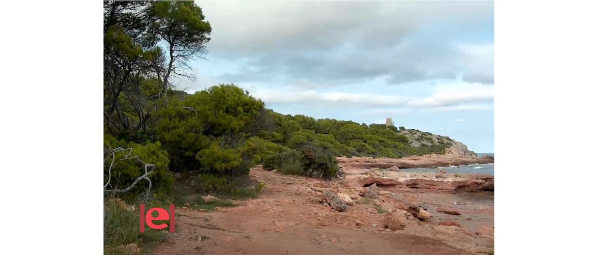 Descobrir la biodiversitat de les cales de la Renegà, a Orpesa: la costa verge