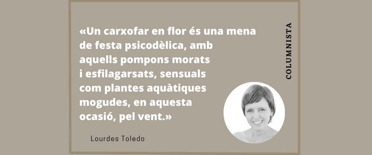 Carxofes i carxofars