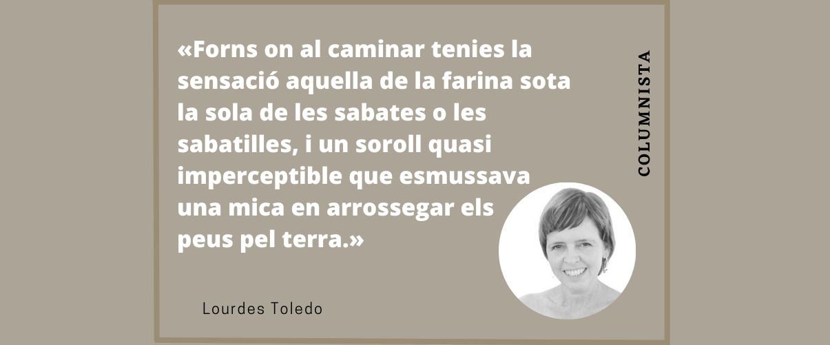 Rosquilletes i salaets