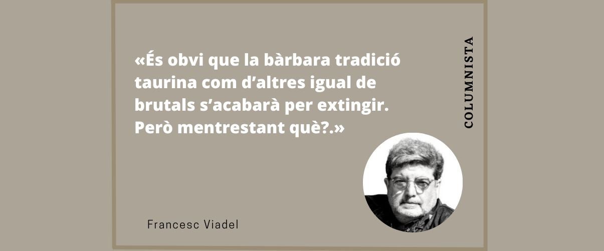 Animals en el carrer