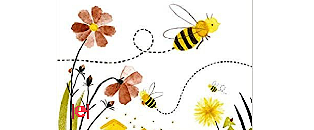 «Segueix el fil», una col·lecció de llibres per a descobrir l’itinerari vital de diversos animals