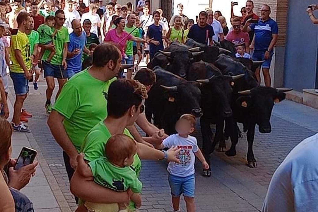 Xiquets i xiquetes participen en una «recreació» dels bous al carrer a Nules