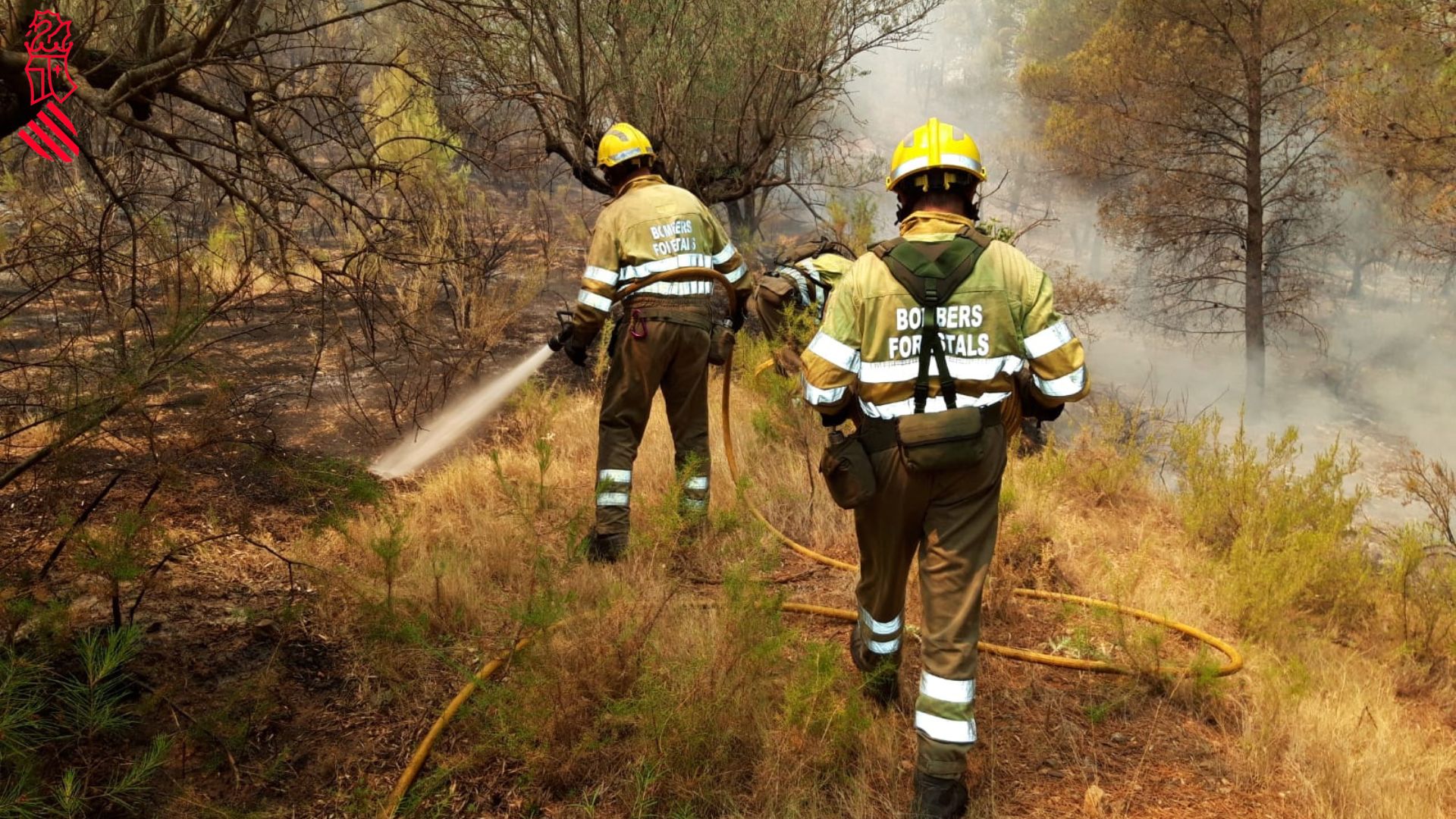 Bombers apaguen flames a la Marina Alta