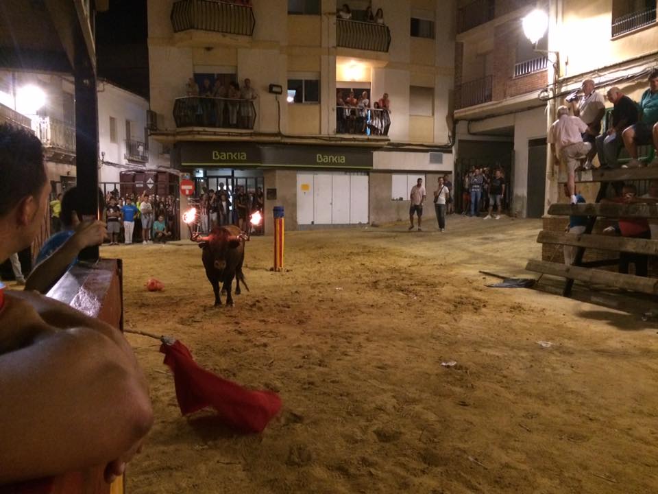 Bou embolat del 2016 a Nàquera (Camp de Túria)