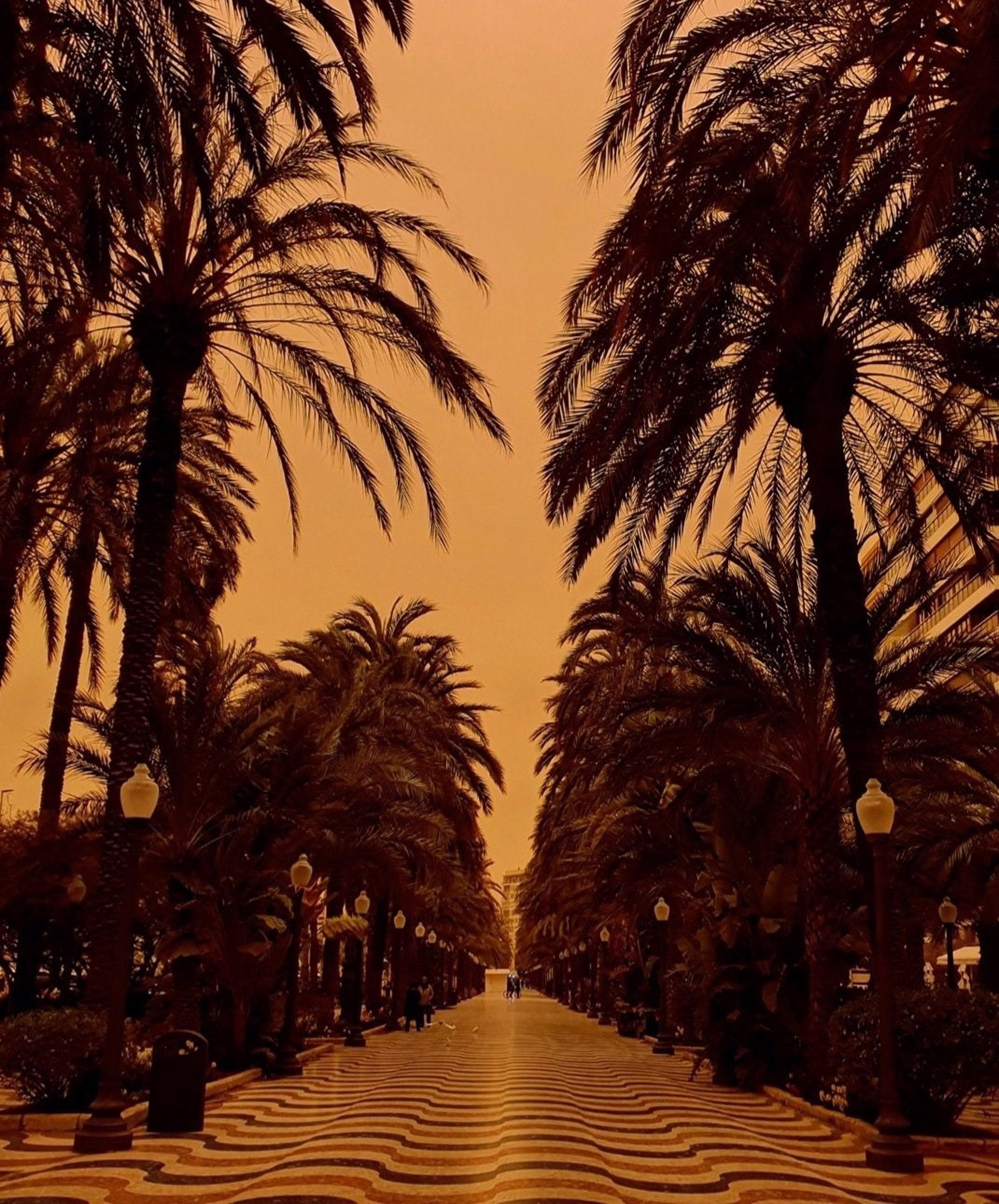 Passeig de l'Esplanada d'Alacant