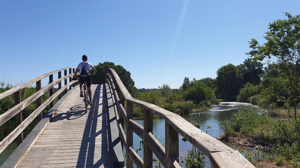 Pont del Parc Natural del Túria, a Riba-roja de Túria