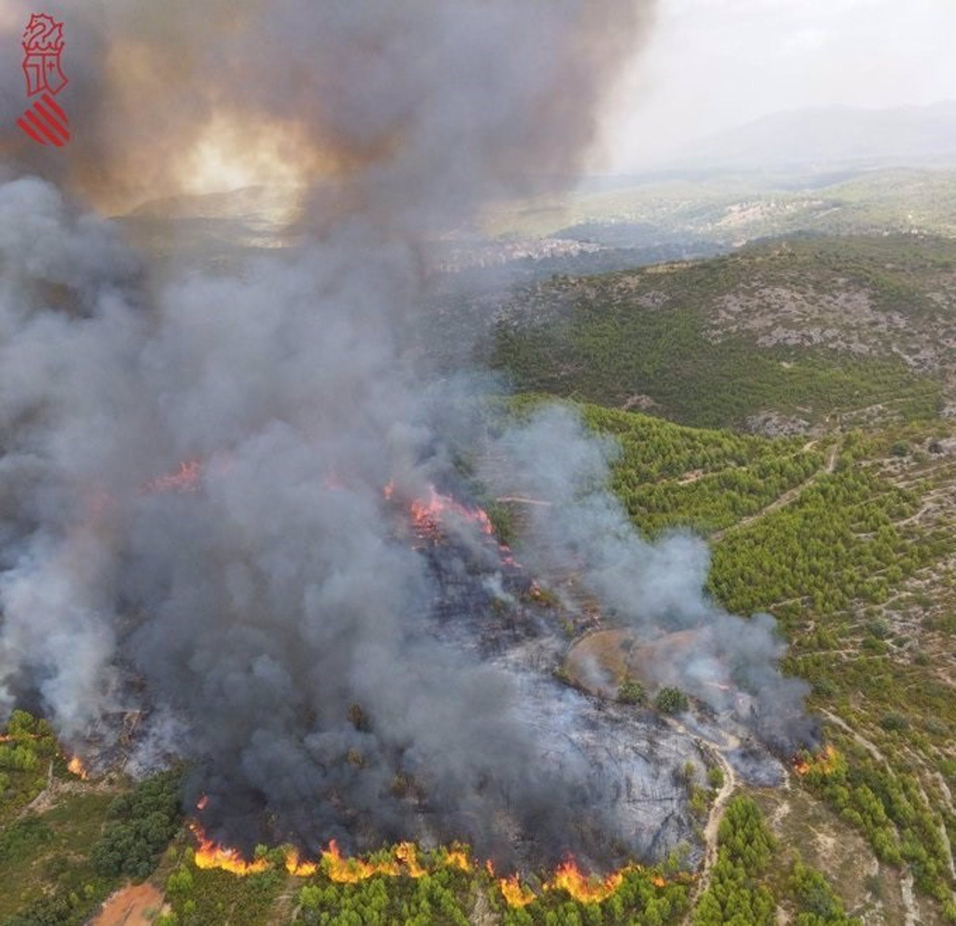 Declarat un incendi forestal a Les Useres