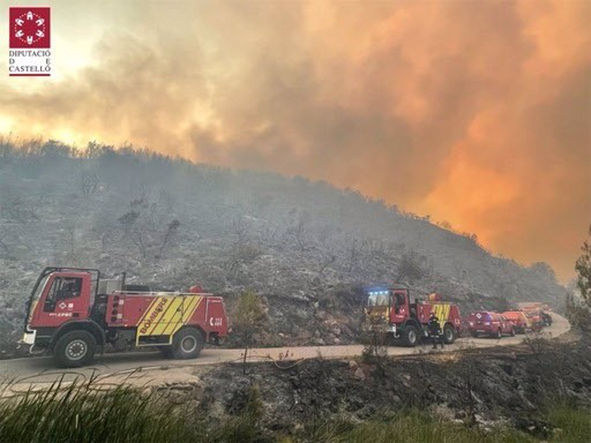 Incendi forestal a Begís (Alt Palància)