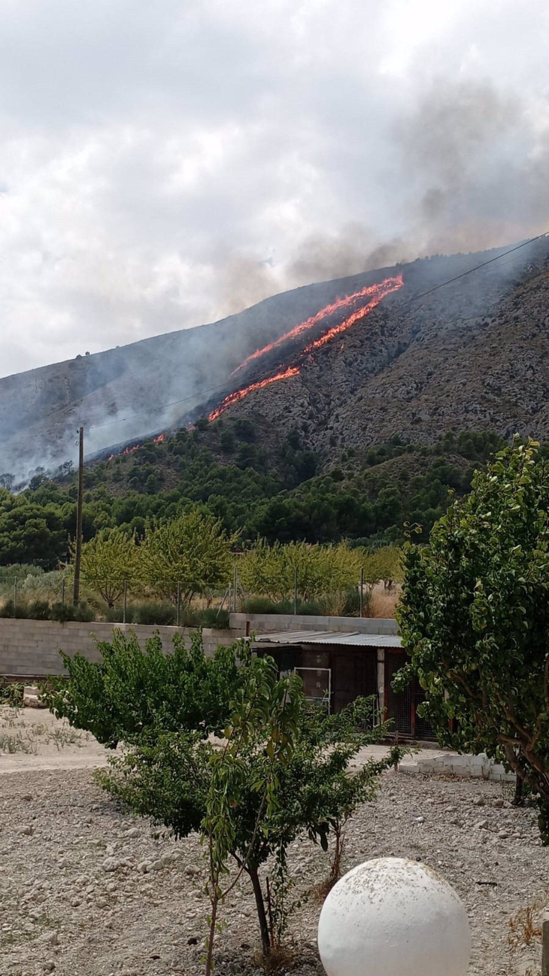 Incendi forestal a Petrer (Vinalopó Mitjà)
