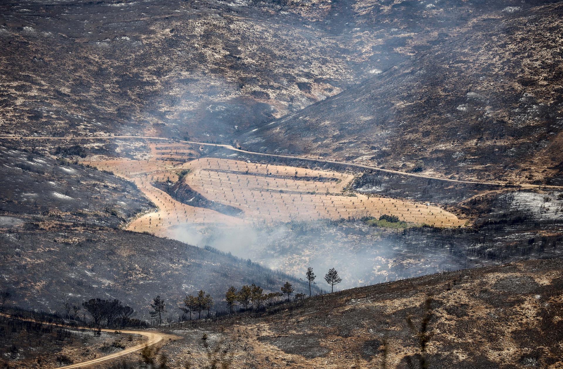 Incendi forestal a l'Alt Palància