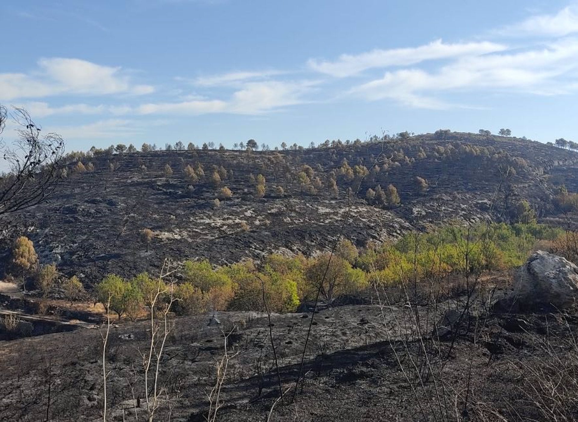 Zona afectada per l'incendi originat a la Vall d'Ebo (Marina Alta)