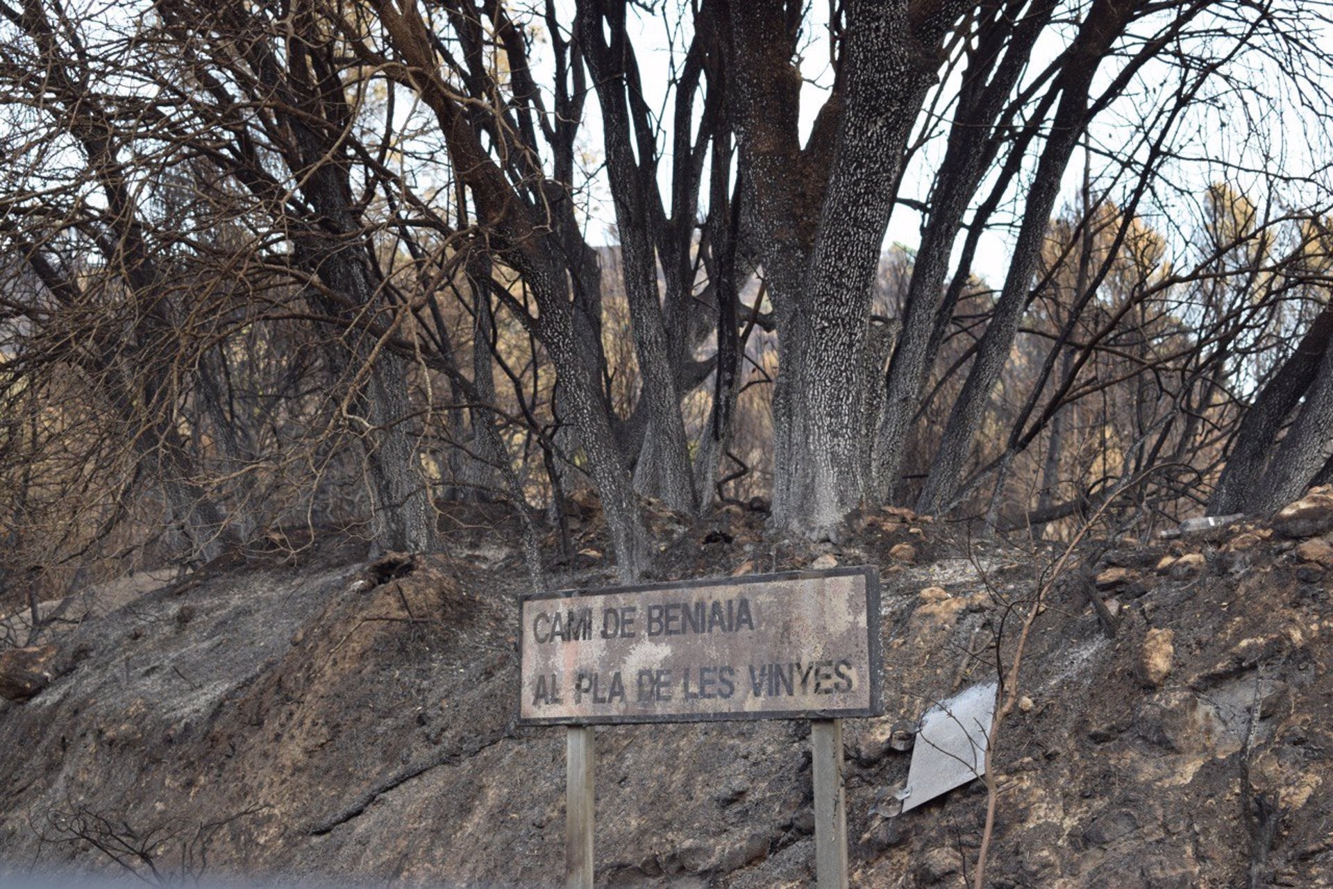 La Vall d'Alcalà (Marina Alta) després del foc