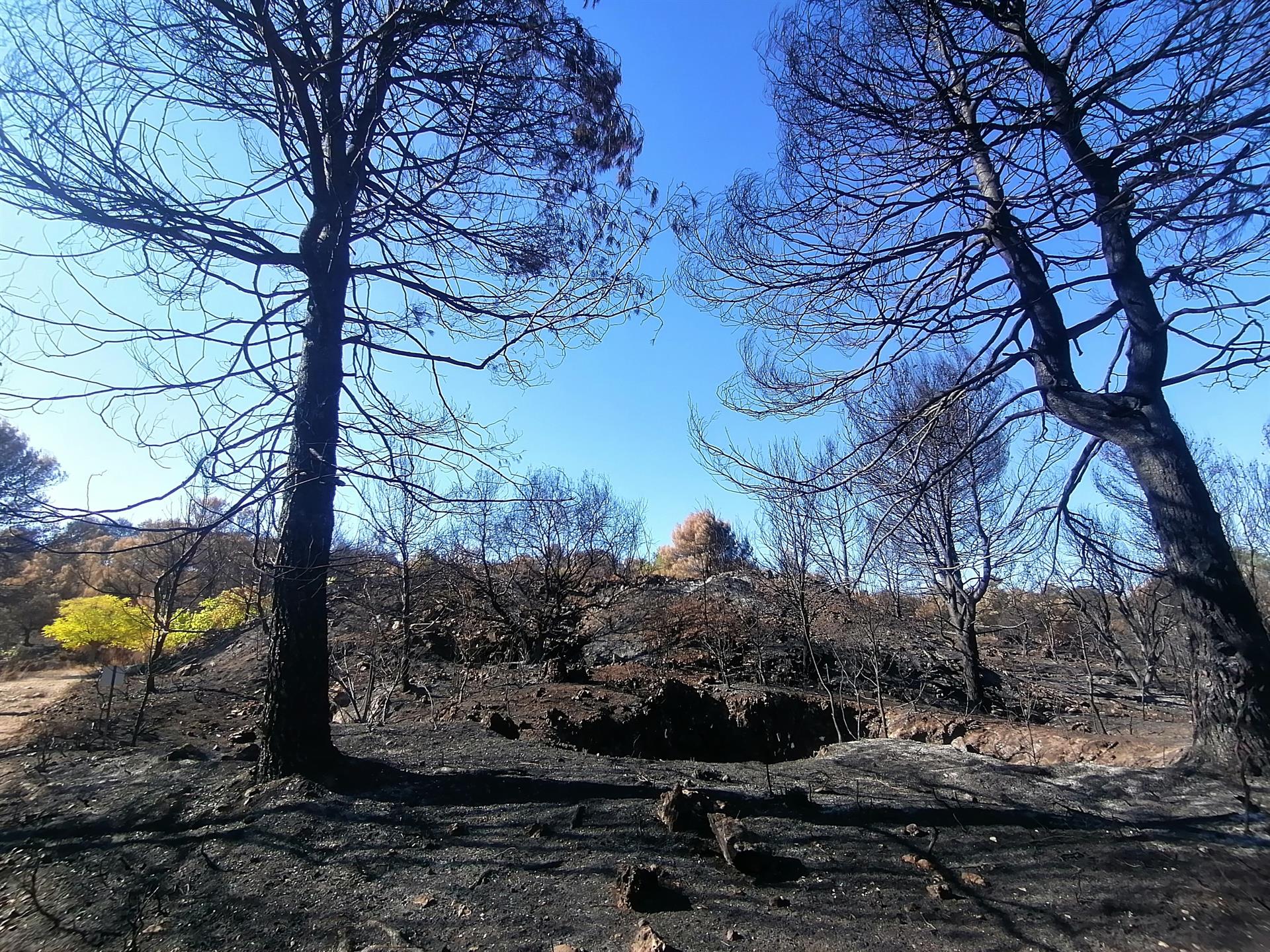 Zona cremada a la Vall d'Ebo (Marina Alta)