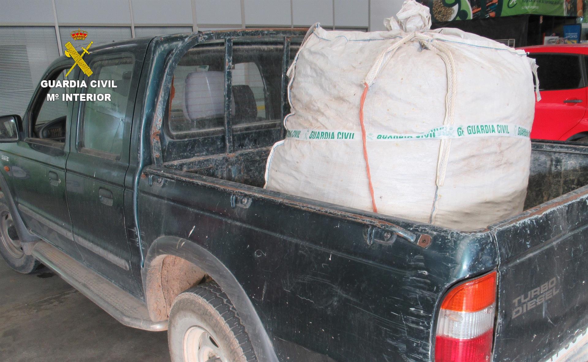 Investiguen dues persones per robar més de 200 quilos de garrofes a Onda