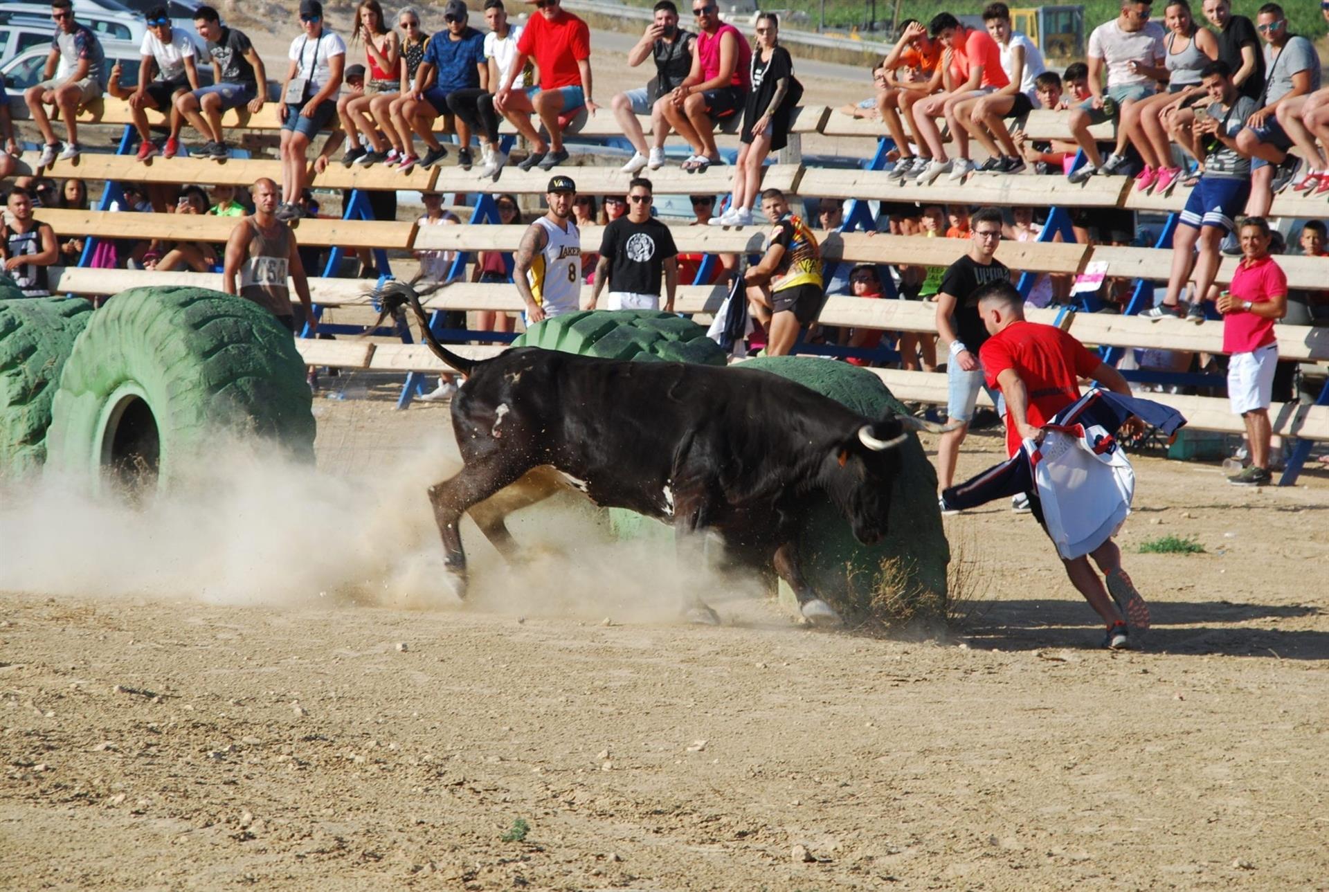 Esdeveniment taurí al Pinós (Vinalopó Mitjà)