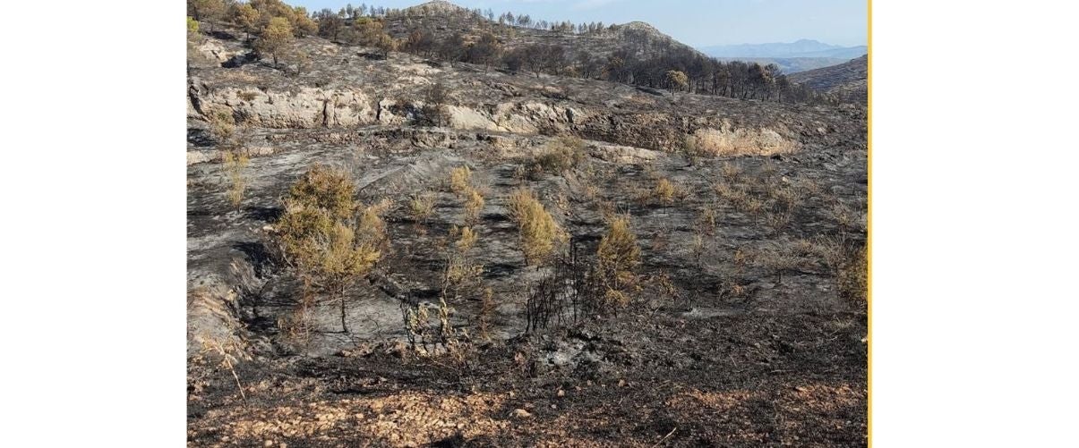 Geògraf de la UA advoca per ajudar la naturalesa de la Vall d’Ebo a regenerar-se sense polítiques «agressives»