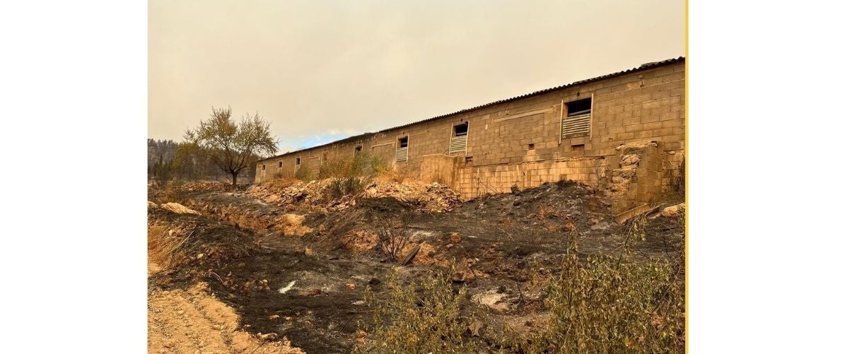 La Unió planteja a Generalitat i Govern espanyol propostes per a fer front als danys en les zones rurals