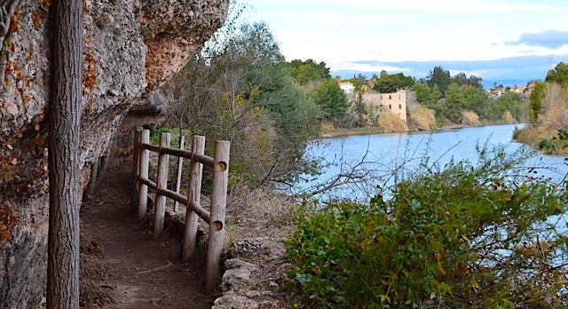 La senda botànica Manuel Calduch, a Vila-real