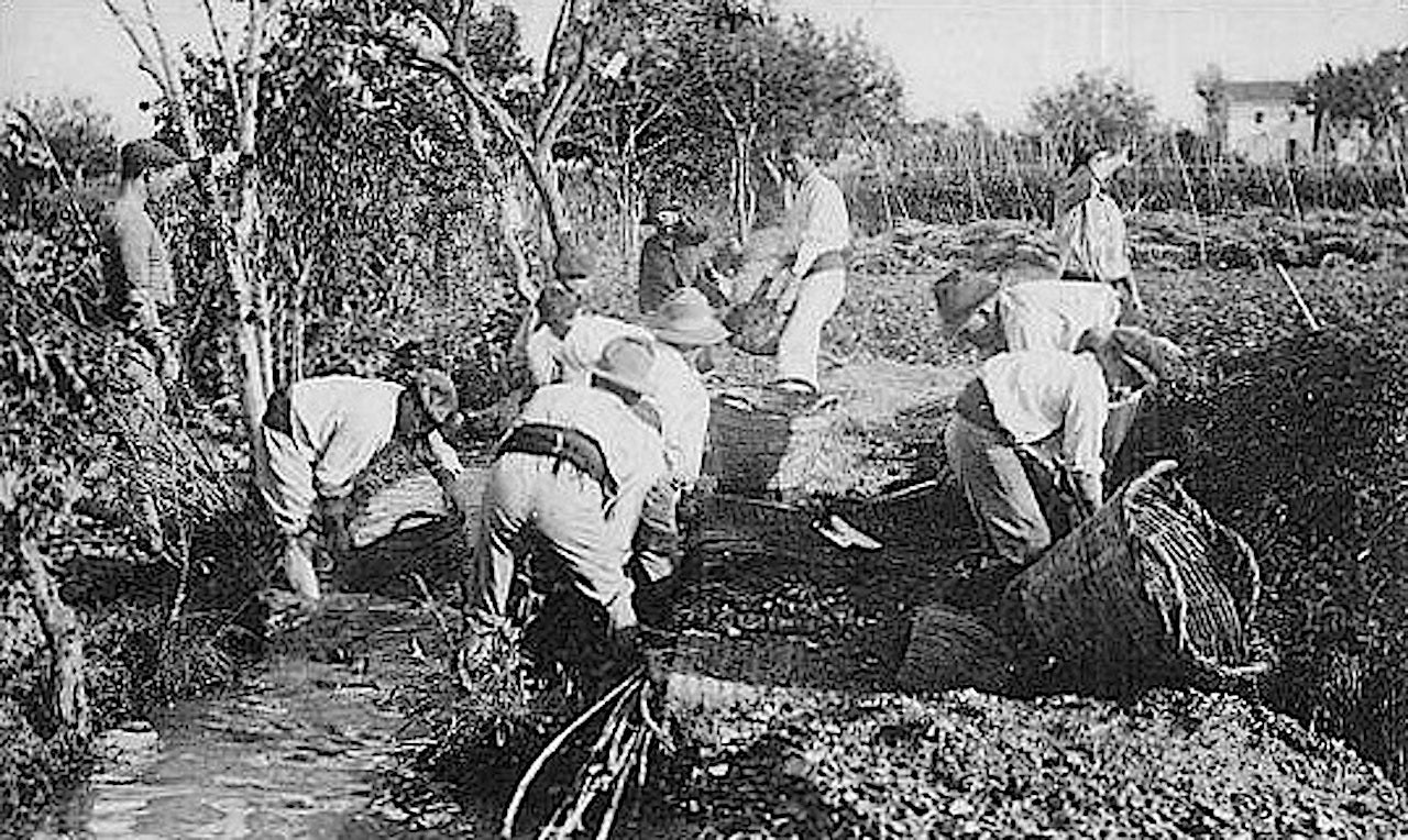 Tal dia com hui del 1801 va esclatar una revolta camperola a València, Catarroja i Alberic