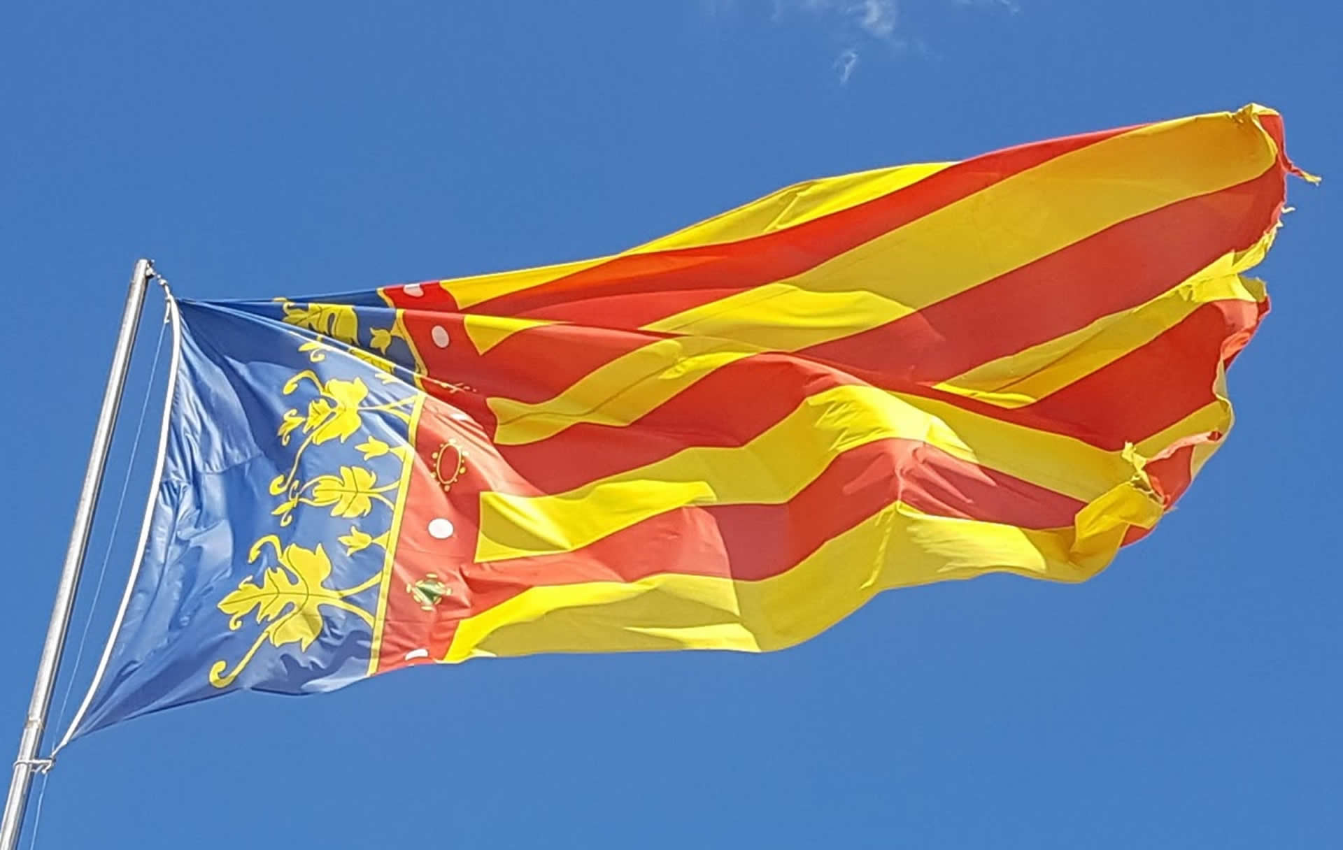 Compromís regala un miler de senyers als veïns de València per penjar-les als balcons el 9 d’Octubre