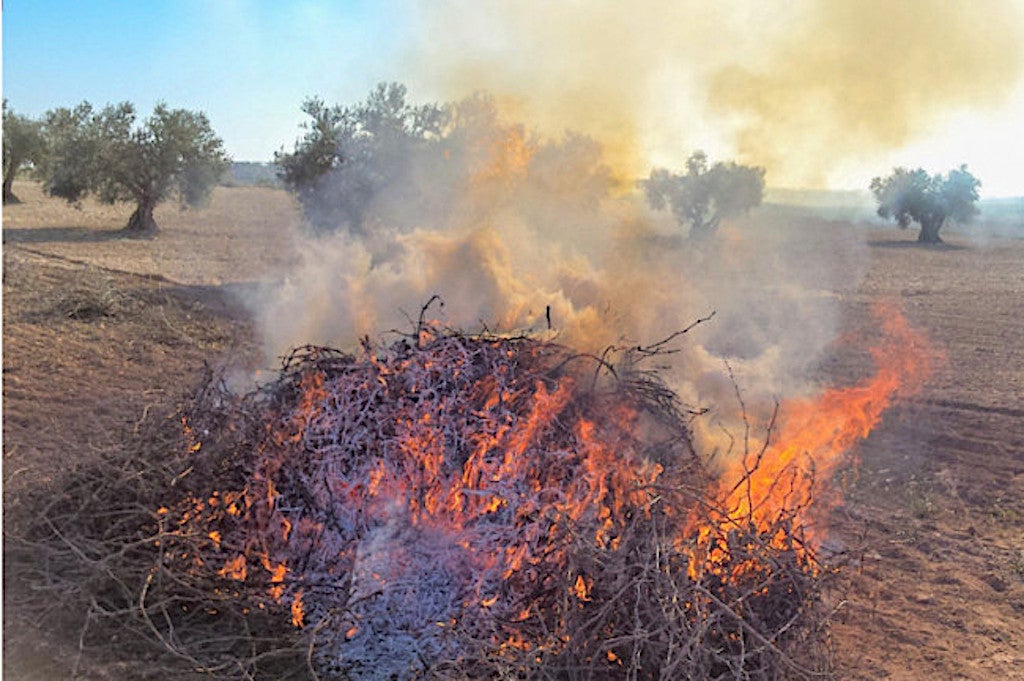 El Grup Republicà aconsegueix més marge i coordinació per adaptar la normativa que prohibeix la crema de restes agrícoles