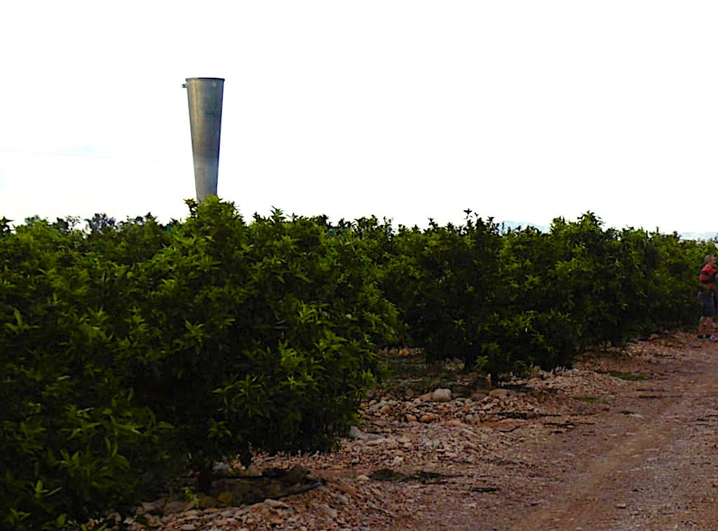 Mulet denuncia que el permís dels canons antigraníssol de Sant Rafel s’ha demanat quan fa un any que funcionen