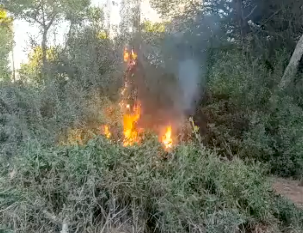 Consell i Ajuntament de València insten un regidor de Vox a descobrir l’autoria d’un vídeo de l’inici d’un incendi al Saler