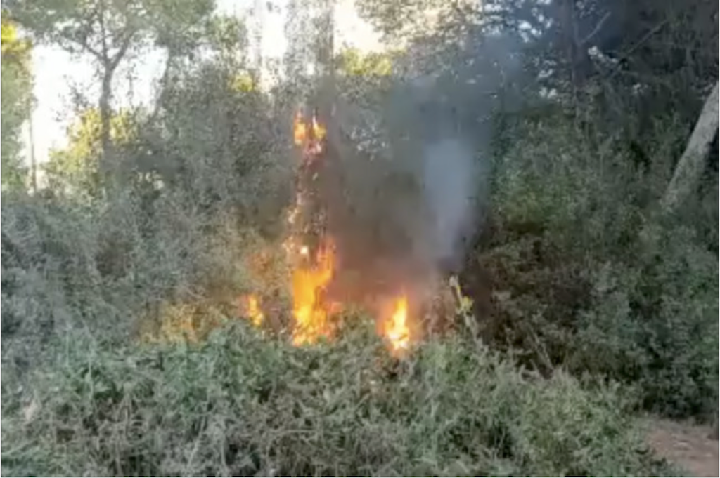 Ribó torna a exigir a Vox que revele l’autoria d’un vídeo de l’incendi al Saler