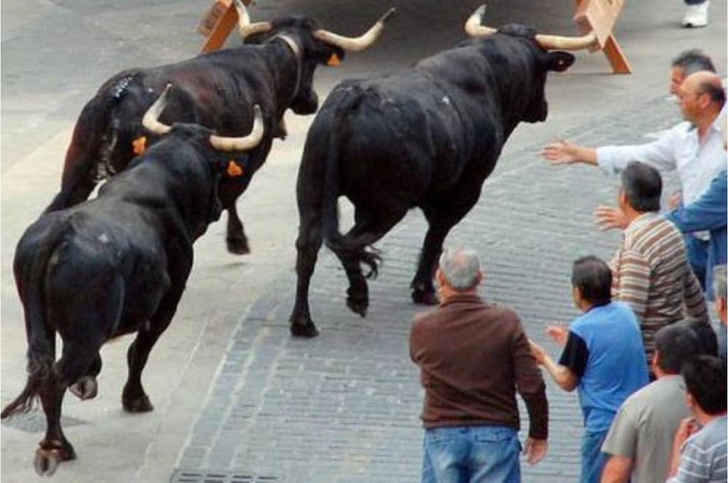 Bous al carrer | Arxiu DLV