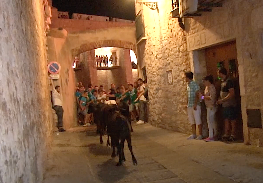 Bous al carrer a Peníscola el 2021