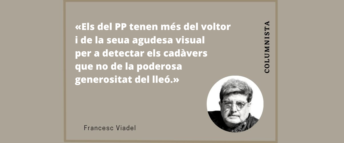 El PP, els incendis i la naturalesa del voltor