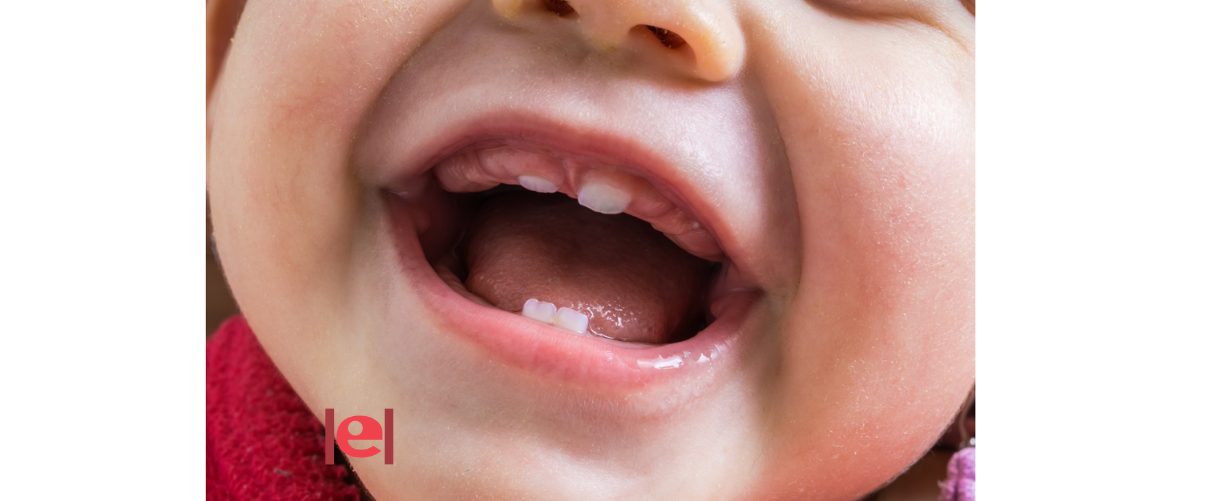 L’aparició de les primeres dents