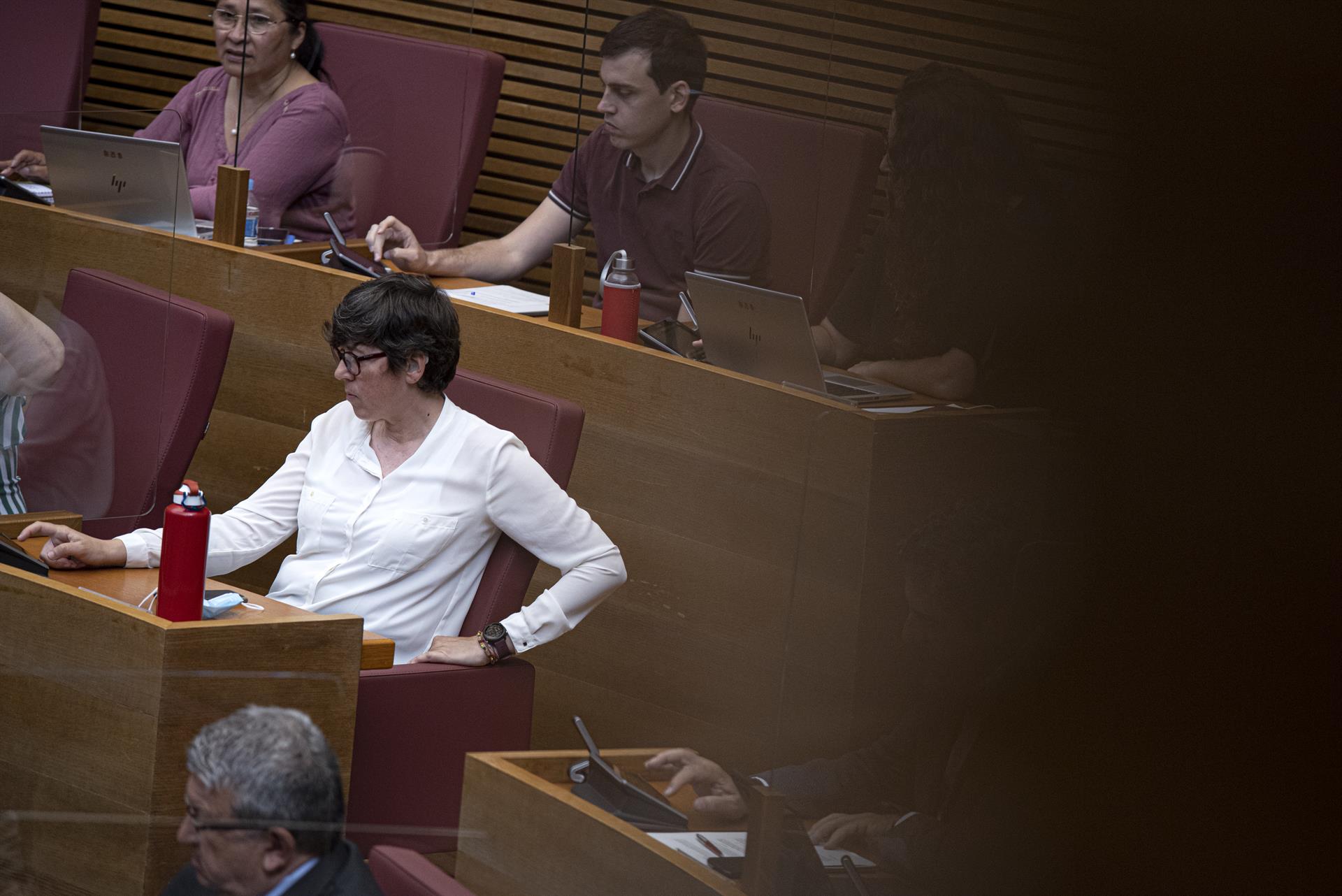 La portaveu d'Unides Podem, Pilar Lima