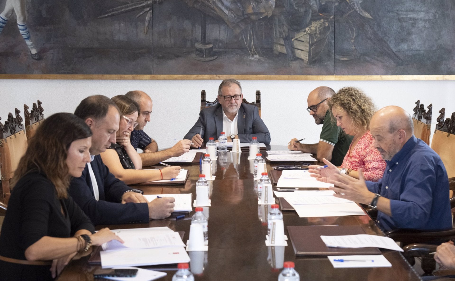 Ple de la Diputació de Castelló