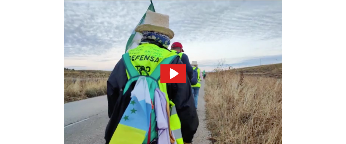 Diari de la Marxa de Pensionistes des d’Alzira fins a Madrid | 12a etapa [Vídeo]