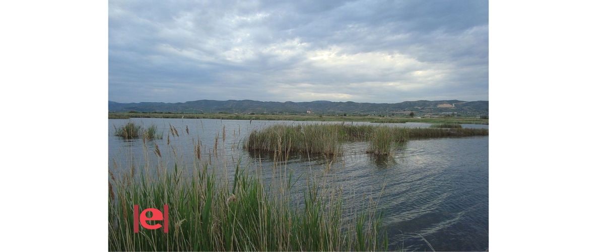 «Detectius de natura», un taller per a descobrir el rastre d’animals al Prat de Cabanes-Torreblanca