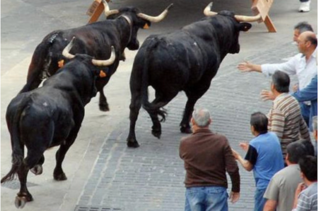Justícia tramita 15 procediments sancionadors per infraccions als bous al carrer fins a finals de setembre