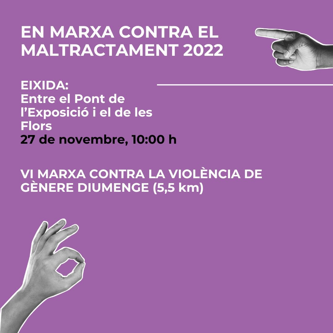 La VI Marxa contra la Violència de Gènere recorrerà el centre de València aquest diumenge