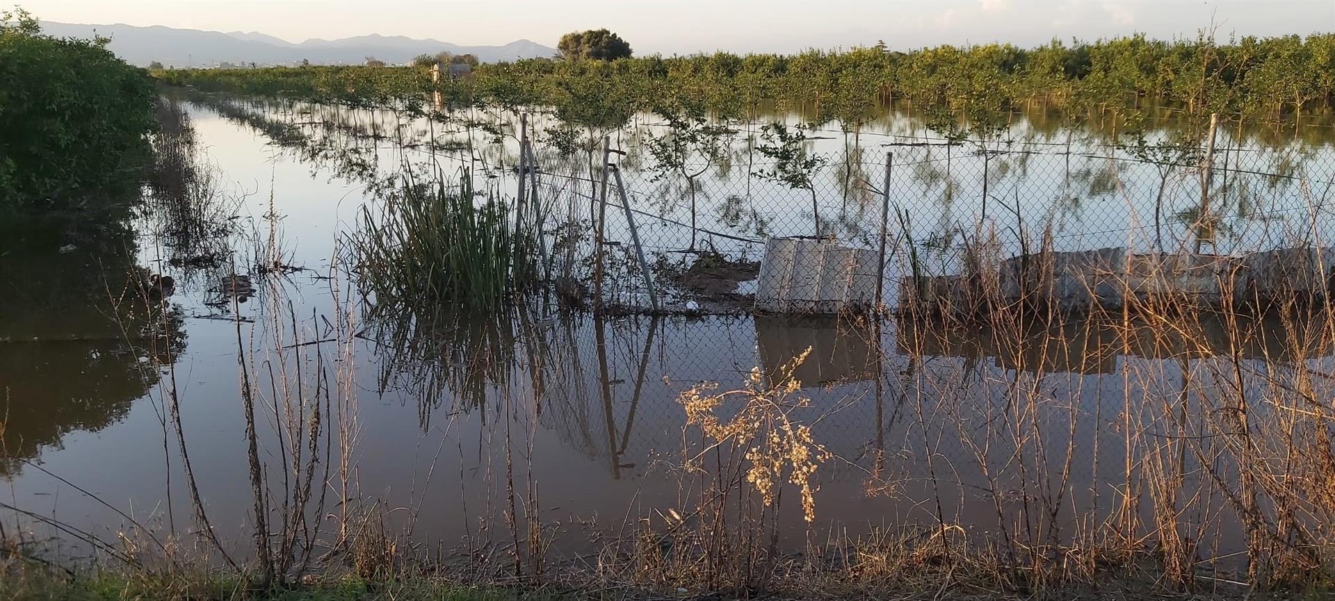 Les pedregades fan malbé 1.300 hectàrees de cultius al Camp de Túria, a L’Horta Nord i a la Plana Baixa