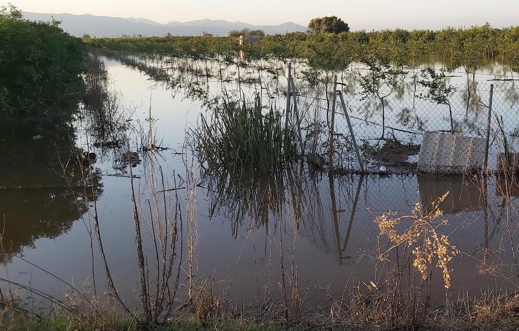 Les asseguradores estimen en 8 MEUR els danys agrícoles per la DANA del cap de setmana passat